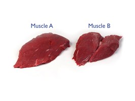 Meat Cut Spec Step 5